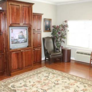 A cozy living room features a large wooden cabinet with a television, an elegant rug, and a comfortable armchair next to an indoor plant.