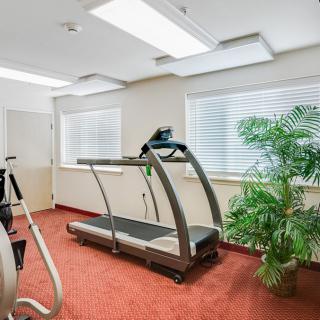 A small fitness room featuring a treadmill, exercise equipment, and potted plants.
