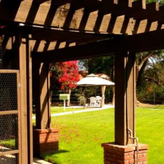 A garden with a wooden pergola and a distant gazebo on a sunny day.