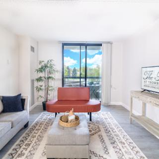 A bright and modern living room featuring a stylish sofa, cozy coffee table, and a beautiful outdoor view.
