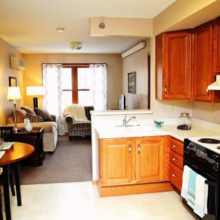 A cozy apartment with an integrated kitchen and living room area.