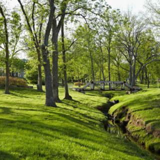 A serene park landscape featuring lush green grass and trees alongside a gentle stream.