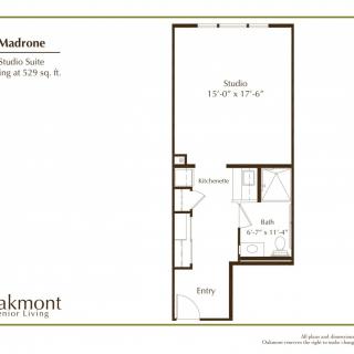 Studio apartment floor plan with a living area, kitchen, and bathroom.