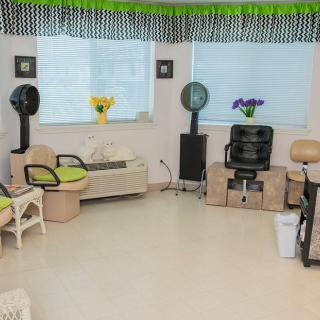 A salon interior featuring a waiting area with chairs and hair drying stations.
