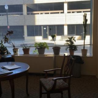 An office space with potted plants on the windowsill, a table, and a chair.
