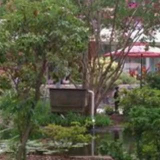A serene garden scene with lush greenery and a small pond.