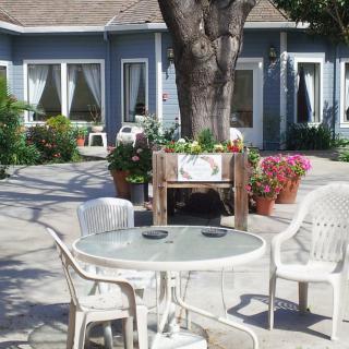 A tranquil patio area with a glass table and chairs surrounded by lush plants and a light blue house in the background.