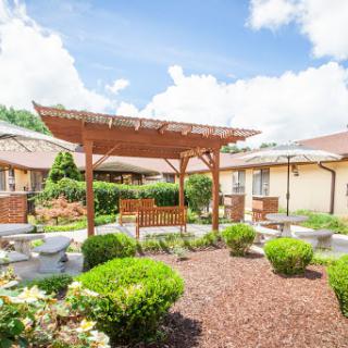 A serene outdoor garden area featuring a pergola, benches, and lush greenery under a bright blue sky.