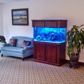 A cozy living space featuring a beautifully lit aquarium, a comfortable blue sofa, and a decorative plant.