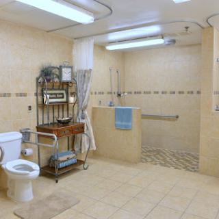 A spacious and accessible bathroom featuring a toilet, shower area, and organized storage.
