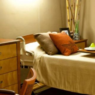 A cozy, well-decorated room featuring a hospital bed with pillows and surrounding furniture.
