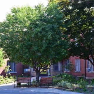 A peaceful outdoor space with benches surrounded by trees and a brick building in the background.