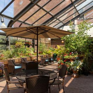 A serene indoor garden space, perfect for relaxation, featuring comfortable seating and vibrant greenery.