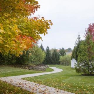 A winding pathway through a vibrant autumn landscape with colorful trees.