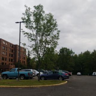 A view of a parking lot with various vehicles, surrounded by greenery and an apartment building under a cloudy sky.
