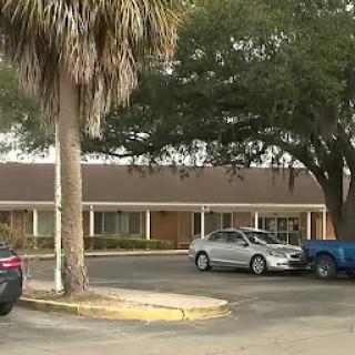 A view of a parking lot with several cars and a building in the background, featuring palm trees.