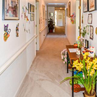 A warmly decorated hallway featuring artwork and plants.