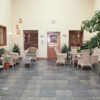 A well-lit indoor seating area featuring wicker furniture and lush green plants.