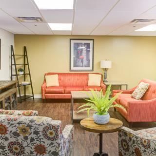 A cozy living room with colorful sofas, patterned chairs, and a coffee table featuring an indoor plant.