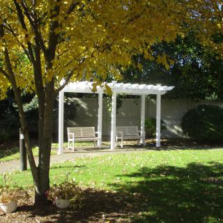 A peaceful park setting with a white pergola and benches under the shade of a tree.