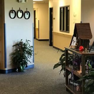 A well-decorated office hallway with plants and a wooden shelf.