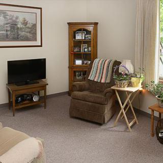 A cozy living room featuring an armchair, a TV on a stand, and a bookshelf adorned with indoor plants.