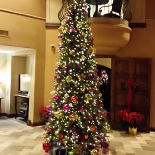 Mccormick Ranch Assisted Living Home