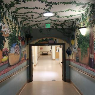 A hospital corridor adorned with vibrant murals and decorative ceilings.