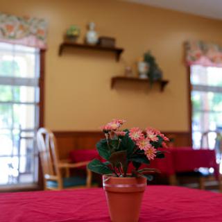 A cozy dining area featuring a small flower pot on a red tablecloth, with warm lighting and decorative shelves in the background.