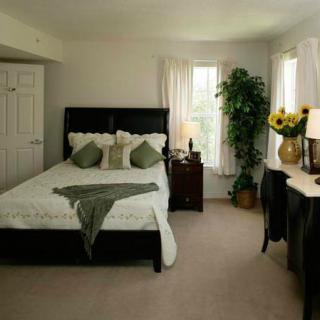 A cozy and modern bedroom with a neatly made bed, decorative pillows, a bedside table with a lamp, and sunflowers by the window.