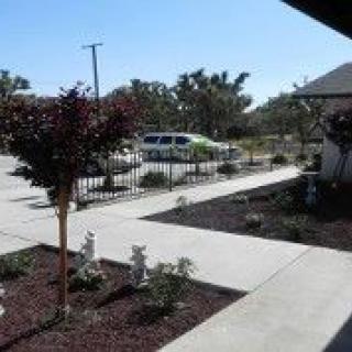 A residential driveway with a garden and parked cars in a suburban area.