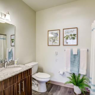 A modern bathroom with a vanity, toilet, and decorative elements including artwork and a potted plant.