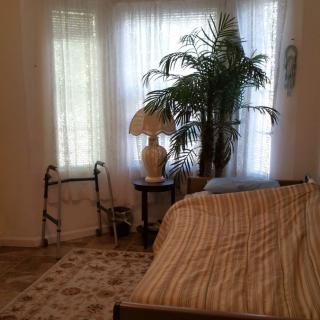 A cozy bedroom corner featuring a bed, potted plant, lamp on a side table, and a window with curtains.