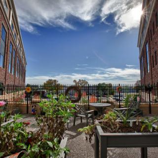 A rooftop garden nestled between two brick buildings under a clear blue sky.