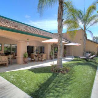 A sunny outdoor patio area with palm trees and seating.