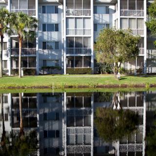A calm scene featuring an apartment building reflected in the water, surrounded by lush greenery and palm trees.