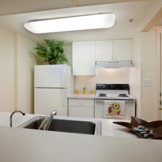 A modern kitchen featuring essential appliances, sleek countertops, and a touch of greenery.