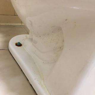 A bathroom sink with rust and dirt visible, indicating it needs cleaning.