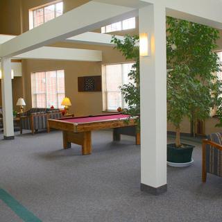 A recreation room featuring a pool table surrounded by natural light and potted plants.