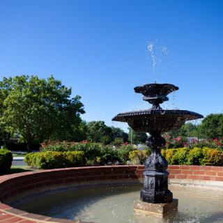 A beautiful fountain in a sunny park surrounded by lush greenery.