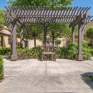 A peaceful garden area featuring a wooden pergola and bench surrounded by lush greenery and trees.