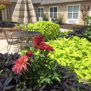 A beautiful garden patio with vibrant flowers and lush greenery.