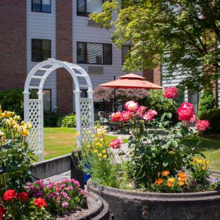 A beautiful garden with vibrant flowers and a white archway in front of a building.