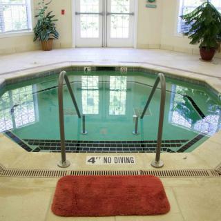 An indoor hot tub featuring steps for entry, with 'No Diving' warning and surrounded by potted plants.