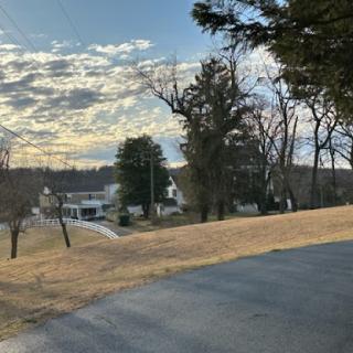 A serene view of a winding road lined with trees, leading to a house under a cloudy sky.