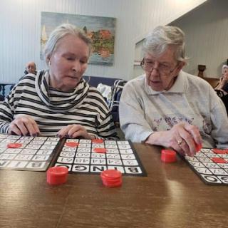 Two elderly women engaged in a game of bingo, focused on their cards.
