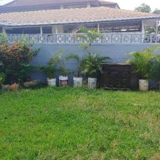 A house with a neatly trimmed lawn and potted plants lined up against a wall.