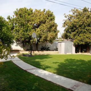 A sunny backyard with a well-maintained lawn, trees, and a small shed.