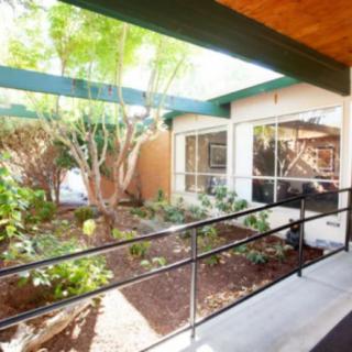 A sunlit indoor garden with a ramp and large windows, surrounded by greenery.