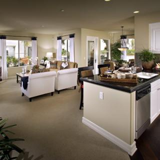 A modern living room and kitchen with an open-concept design featuring stylish furnishings and dcor.